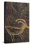 Sandstone, Petroglyphs, Utah, USA-Gerry Reynolds-Stretched Canvas