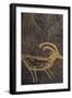 Sandstone, Petroglyphs, Utah, USA-Gerry Reynolds-Framed Photographic Print