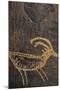 Sandstone, Petroglyphs, Utah, USA-Gerry Reynolds-Mounted Photographic Print