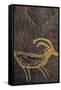 Sandstone, Petroglyphs, Utah, USA-Gerry Reynolds-Framed Stretched Canvas