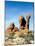 Sandstone Pillars, Arches National Park, Utah-Carol Highsmith-Mounted Photo