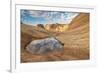 Sandstone Rock Candy Cliffs area, near St. George, Utah-Howie Garber-Framed Photographic Print