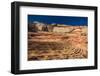 Sandstone rock formations in a desert, Zion National Park, Utah, USA-null-Framed Photographic Print