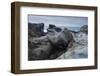 Sandstone, Salt Point State Park, Sonoma Coast, California, Usa-Rainer Mirau-Framed Photographic Print