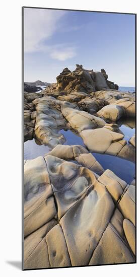 Sandstone, Salt Point State Park, Sonoma Coast, California, Usa-Rainer Mirau-Mounted Photographic Print