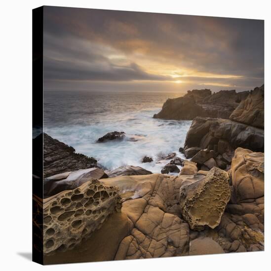 Sandstone, Salt Point State Park, Sonoma Coast, California, Usa-Rainer Mirau-Stretched Canvas