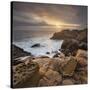 Sandstone, Salt Point State Park, Sonoma Coast, California, Usa-Rainer Mirau-Stretched Canvas