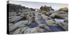 Sandstone, Salt Point State Park, Sonoma Coast, California, Usa-Rainer Mirau-Stretched Canvas