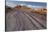 Sandstone, Valley of Fire State Park, Nevada, Usa-Rainer Mirau-Stretched Canvas