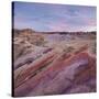 Sandstone, Valley of Fire State Park, Nevada, Usa-Rainer Mirau-Stretched Canvas