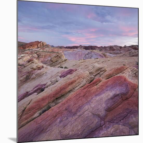 Sandstone, Valley of Fire State Park, Nevada, Usa-Rainer Mirau-Mounted Premium Photographic Print