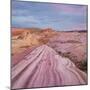 Sandstone, Valley of Fire State Park, Nevada, Usa-Rainer Mirau-Mounted Photographic Print