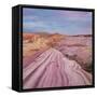 Sandstone, Valley of Fire State Park, Nevada, Usa-Rainer Mirau-Framed Stretched Canvas