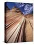 Sandstone Wave, Paria Canyon, Vermillion Cliffs Wilderness, Arizona, USA-Lee Frost-Stretched Canvas