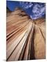 Sandstone Wave, Paria Canyon, Vermillion Cliffs Wilderness, Arizona, USA-Lee Frost-Mounted Photographic Print
