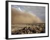 Sandstorm Approaches the Town of Teseney, Near the Sudanese Border, Eritrea, Africa-Mcconnell Andrew-Framed Photographic Print