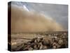 Sandstorm Approaches the Town of Teseney, Near the Sudanese Border, Eritrea, Africa-Mcconnell Andrew-Stretched Canvas