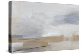 Sandstorm Gold-Pamela Munger-Stretched Canvas