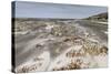 Sandstorm, Sea Lion Island, Falkland Islands, South America-Eleanor-Stretched Canvas