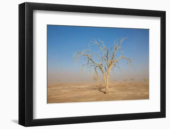 Sandstorm-F.C.G.-Framed Photographic Print