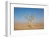 Sandstorm-F.C.G.-Framed Photographic Print