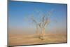 Sandstorm-F.C.G.-Mounted Photographic Print