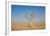 Sandstorm-F.C.G.-Framed Photographic Print