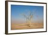 Sandstorm-F.C.G.-Framed Photographic Print