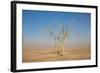 Sandstorm-F.C.G.-Framed Photographic Print