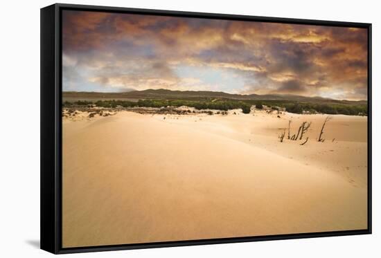 Sandstrom is Coming-Fyletto-Framed Stretched Canvas
