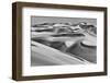 Sandwich Harbor, Namibia. Gull Flies over Immense Sand Dunes-Janet Muir-Framed Photographic Print