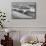 Sandwich Harbor, Namibia. Gull Flies over Immense Sand Dunes-Janet Muir-Mounted Premium Photographic Print displayed on a wall