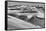 Sandwich Harbor, Namibia. Gull flies over immense sand dunes.-Janet Muir-Framed Stretched Canvas