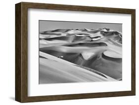 Sandwich Harbor, Namibia. Gull flies over immense sand dunes.-Janet Muir-Framed Photographic Print