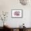 Sandworm 3-Jaime Derringer-Framed Stretched Canvas displayed on a wall