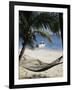 Sandy Bay, Bahamas, West Indies, Central America-Charles Bowman-Framed Photographic Print