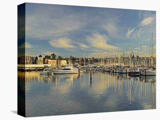 Sandy Bay, Hobart, Tasmania, Australia, Pacific-Jochen Schlenker-Stretched Canvas