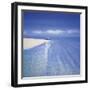 Sandy Bay III-Richard Pearce-Framed Giclee Print