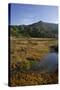 Sandy Bay in the Moonlight, Abel Tasman Nationalpark, Tasman, South Island, New Zealand-Rainer Mirau-Stretched Canvas