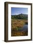 Sandy Bay in the Moonlight, Abel Tasman Nationalpark, Tasman, South Island, New Zealand-Rainer Mirau-Framed Photographic Print