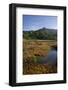 Sandy Bay in the Moonlight, Abel Tasman Nationalpark, Tasman, South Island, New Zealand-Rainer Mirau-Framed Photographic Print