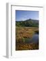 Sandy Bay in the Moonlight, Abel Tasman Nationalpark, Tasman, South Island, New Zealand-Rainer Mirau-Framed Photographic Print