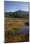 Sandy Bay in the Moonlight, Abel Tasman Nationalpark, Tasman, South Island, New Zealand-Rainer Mirau-Mounted Photographic Print