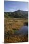 Sandy Bay in the Moonlight, Abel Tasman Nationalpark, Tasman, South Island, New Zealand-Rainer Mirau-Mounted Photographic Print