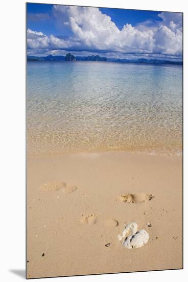 Sandy Beach and Clear Waters in the Bacuit Archipelago, Palawan, Philippines-Michael Runkel-Mounted Premium Photographic Print
