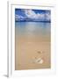 Sandy Beach and Clear Waters in the Bacuit Archipelago, Palawan, Philippines-Michael Runkel-Framed Photographic Print