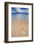 Sandy Beach and Clear Waters in the Bacuit Archipelago, Palawan, Philippines-Michael Runkel-Framed Photographic Print