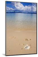 Sandy Beach and Clear Waters in the Bacuit Archipelago, Palawan, Philippines-Michael Runkel-Mounted Photographic Print