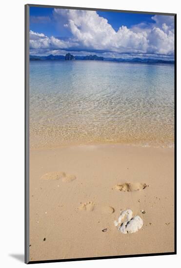 Sandy Beach and Clear Waters in the Bacuit Archipelago, Palawan, Philippines-Michael Runkel-Mounted Photographic Print