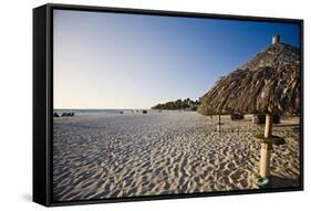 Sandy Beach and Palapas at Divi Beach Aruba-George Oze-Framed Stretched Canvas